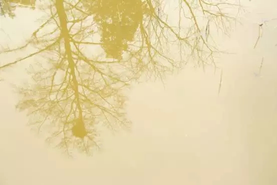 640.webp (1).jpg 640.webp (1).jpg